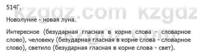 Русский язык Сабитова 5 класс 2017 Упражнение 514Г