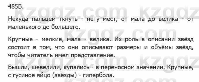 Русский язык Сабитова 5 класс 2017 Упражнение 485В