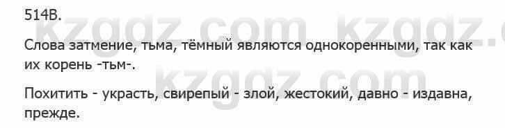 Русский язык Сабитова 5 класс 2017 Упражнение 514В