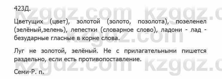 Русский язык Сабитова 5 класс 2017 Упражнение 423Д