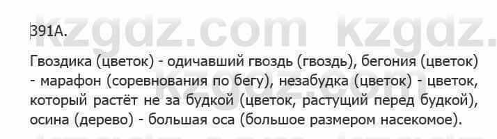 Русский язык Сабитова 5 класс 2017 Упражнение 391А