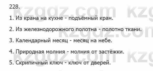 Русский язык Сабитова 5 класс 2017 Упражнение 228