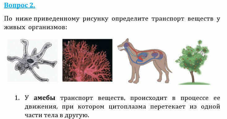 Естествознание Очкур Е. 6 класс 2018 Вопрос 2