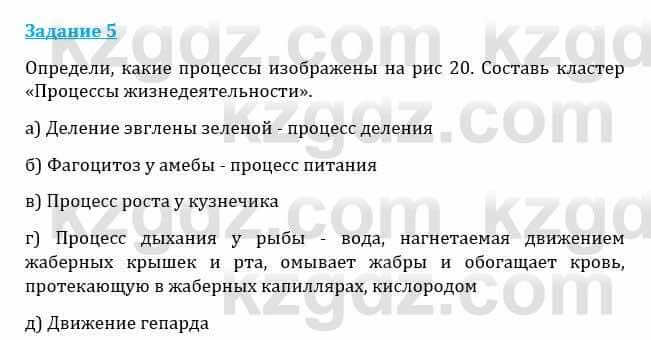 Естествознание Каратабанов Р., Верховцева Л. 6 класс 2019 Задание 5