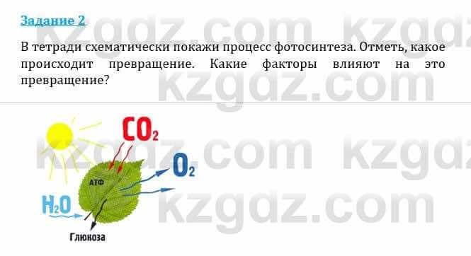 Естествознание Каратабанов Р., Верховцева Л. 6 класс 2019 Задание 2