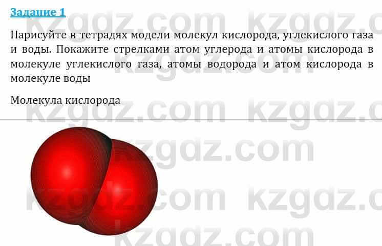 Естествознание Абдиманапов Б.Ш. 6 класс 2018 Задание Задание 1