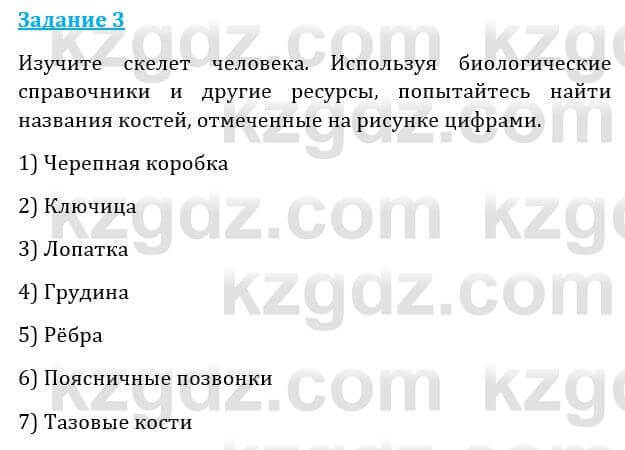 Естествознание Абдиманапов Б.Ш. 6 класс 2018 Задание Задание 3