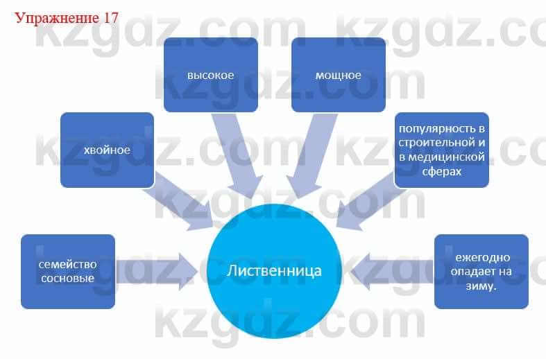 Русский язык и литература Жанпейс У. 9 класс 2019 Упражнение 17