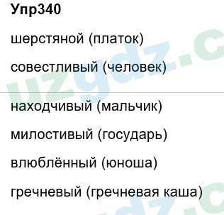 Русский язык Зеленина 6 класс 2017 Упражнение 3401