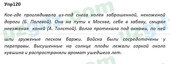 Русский язык Рожнова 7 класс 2017 Упражнение 1201