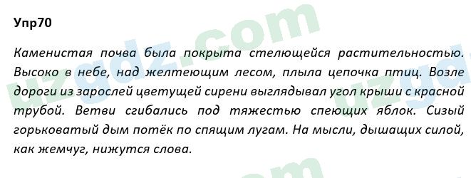 Русский язык Рожнова 7 класс 2017 Упражнение 701