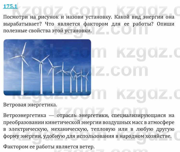 Естествознание Верховцева Л. 5 класс 2019 Вопрос стр.175.1