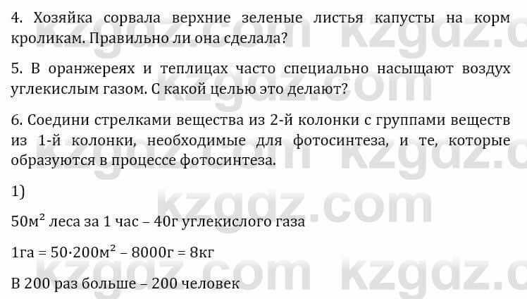 Естествознание Верховцева Л. 5 класс 2019 Вопрос стр.42.11