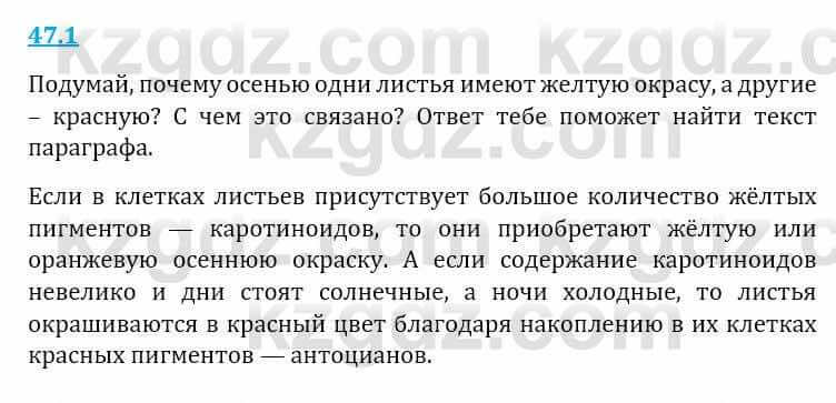 Естествознание Верховцева Л. 5 класс 2019 Вопрос стр.47.1