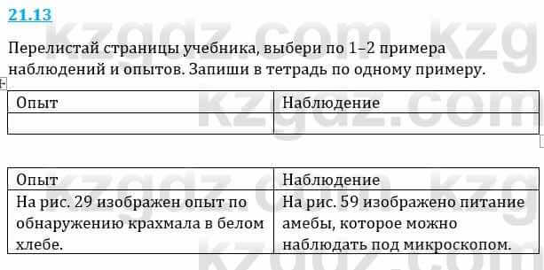 Естествознание Верховцева Л. 5 класс 2019 Вопрос стр.21.131