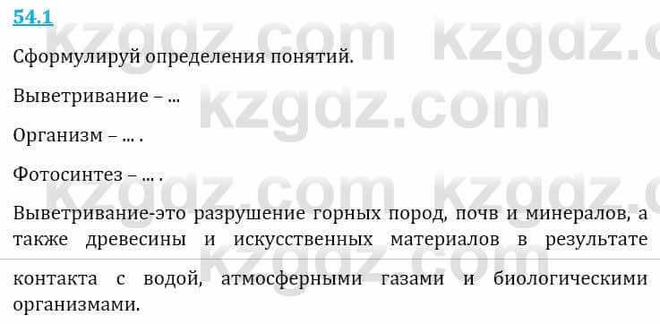 Естествознание Верховцева Л. 5 класс 2019 Вопрос стр.54.1