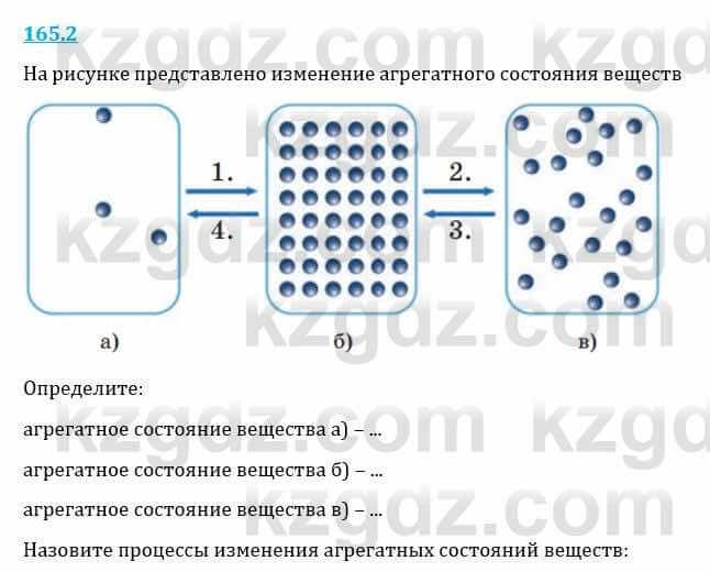 Естествознание Верховцева Л. 5 класс 2019 Вопрос стр.165.2