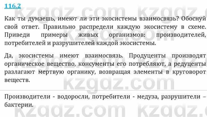 Естествознание Верховцева Л. 5 класс 2019 Вопрос стр.116.2