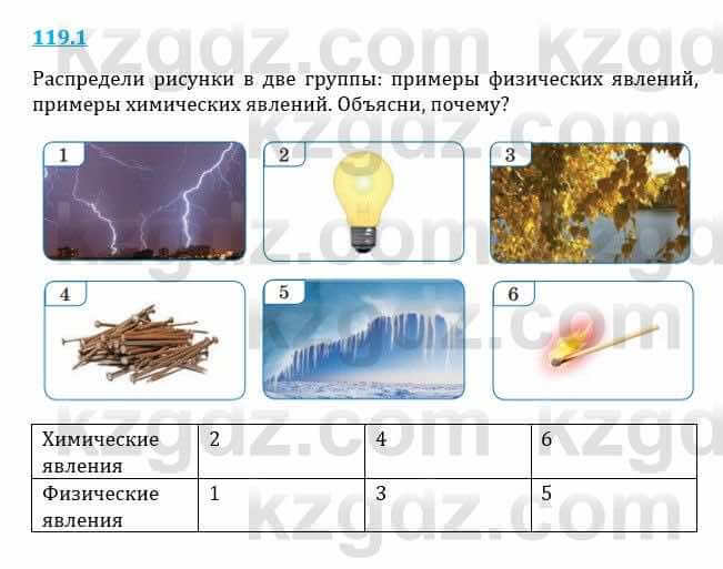 Естествознание Верховцева Л. 5 класс 2019 Вопрос стр.119.1