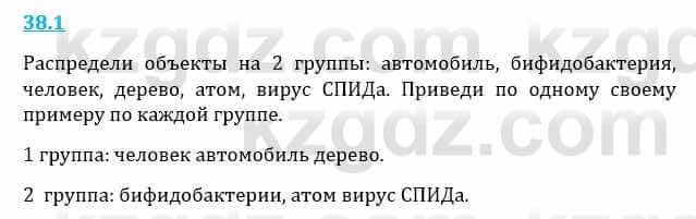 Естествознание Верховцева Л. 5 класс 2019 Вопрос стр.38.11