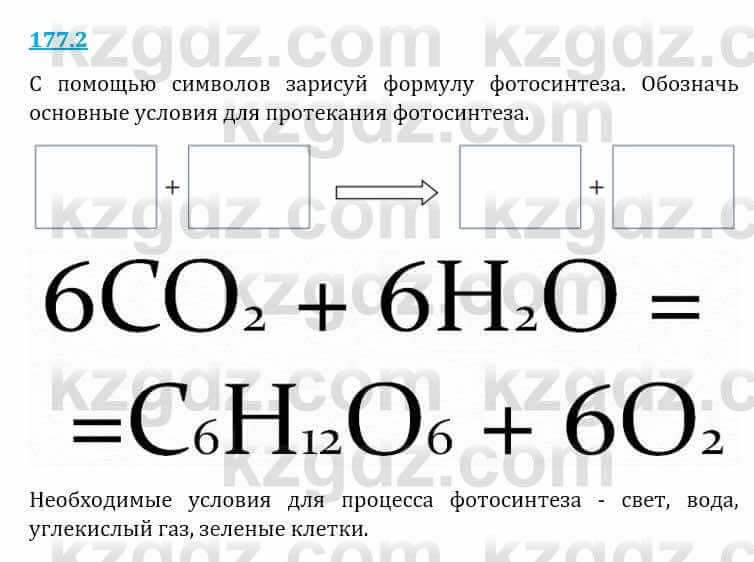 Естествознание Верховцева Л. 5 класс 2019 Вопрос стр.177.2