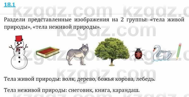 Естествознание Верховцева Л. 5 класс 2019 Вопрос стр.18.11