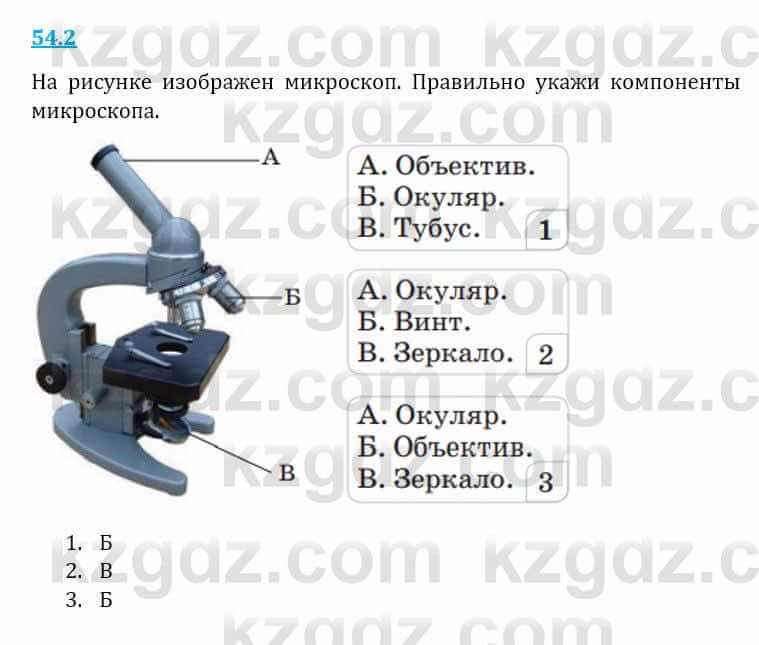 Естествознание Верховцева Л. 5 класс 2019 Вопрос стр.54.2