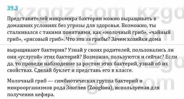 Естествознание Верховцева Л. 5 класс 2019 Вопрос стр.39.41