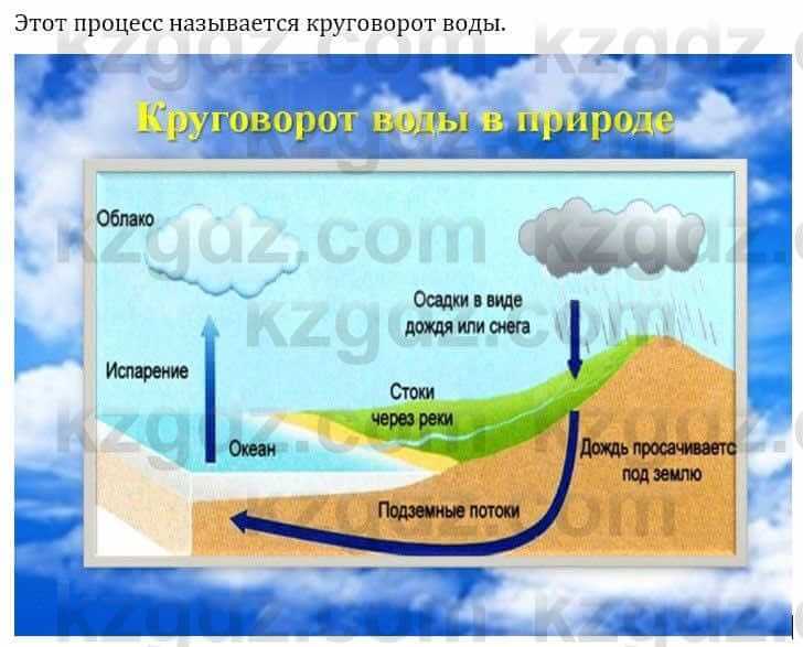 Естествознание Верховцева Л. 5 класс 2019 Вопрос стр.8.1