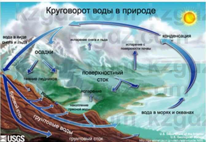 Естествознание Верховцева Л. 5 класс 2019 Вопрос стр.6.11