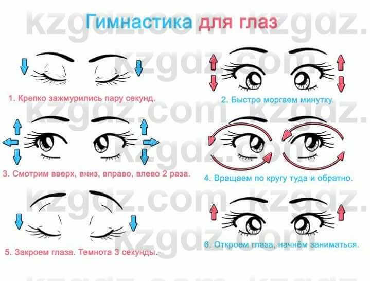 Информатика Қадырқұлов Р.А. 6 класс 2020 Синтез 1