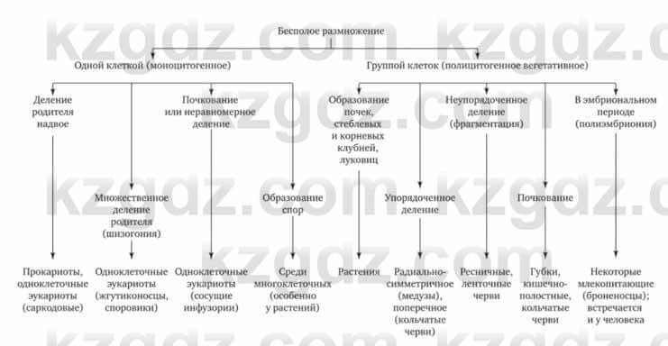 Биология Соловьева А. 8 класс 2018 Анализ 4