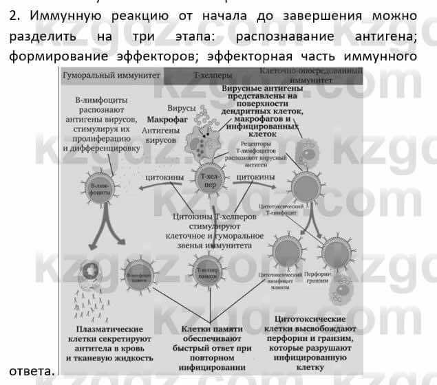 Биология Соловьева А. 8 класс 2018 Анализ 2