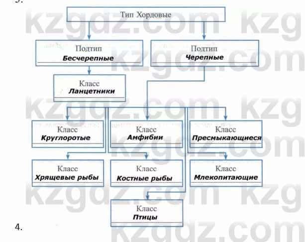 Биология Соловьева А. 8 класс 2018 Анализ 4