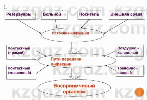 Биология Соловьева А. 8 класс 2018 Анализ 1