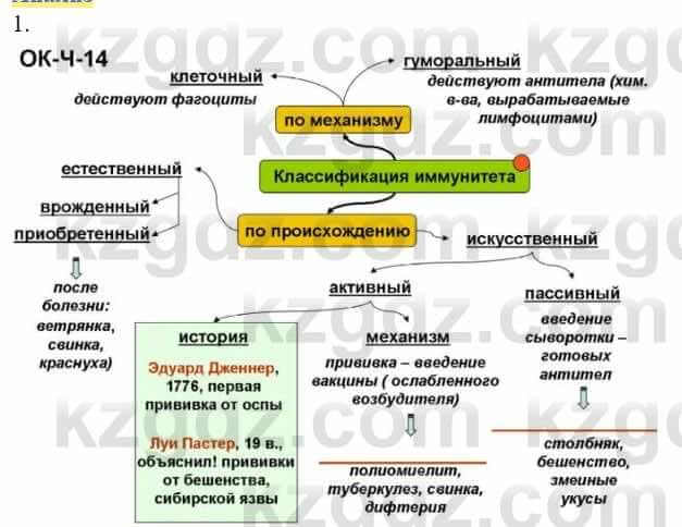 Биология Соловьева А. 8 класс 2018 Анализ 1