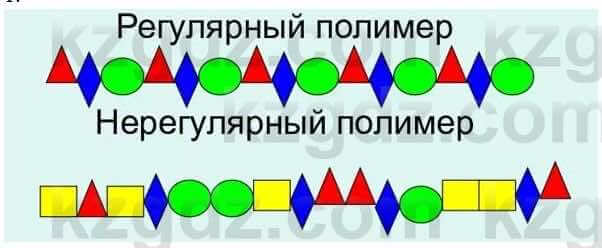 Биология Соловьева А. 8 класс 2018 Синтез 1