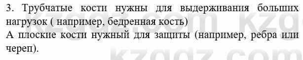 Биология Соловьева А. 8 класс 2018 Синтез 3