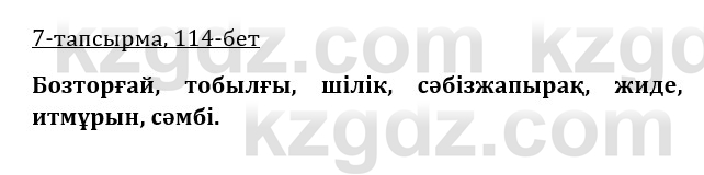 Казахская литература Керимбекова 9 класс 2019 Вопрос 7