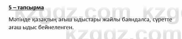 Казахский язык и литература Косымова 6 класс 2018 Упражнение 5