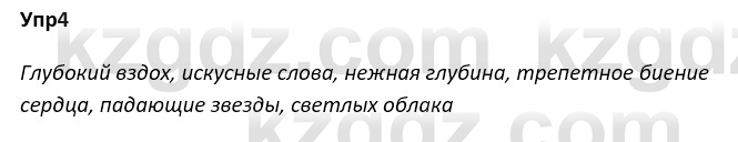 Русский язык и литература Ержанова Р. 9 класс 2019 Вопрос 4