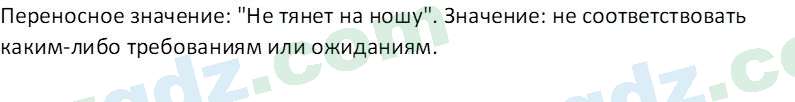 Русский язык Казакова Р. 6 класс 2022 Вопрос 51