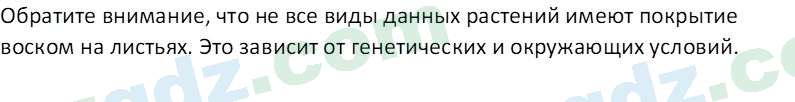 Биология Сапаров К. 7 класс 2022 Задание 11