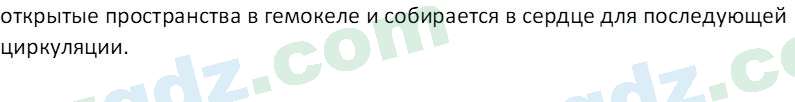 Биология Сапаров К. 7 класс 2022 Задание 11