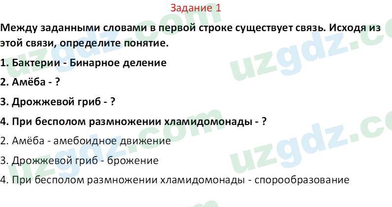 Биология Сапаров К. 7 класс 2022 Задание 11