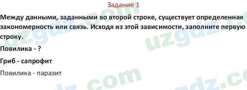 Биология Сапаров К. 7 класс 2022 Задание 11