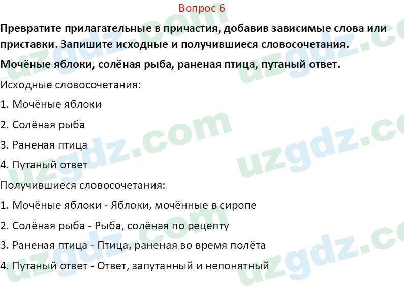 Русский язык Юнусовна Т. О. 7 класс 2022 Вопрос 61