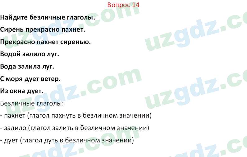 Русский язык Юнусовна Т. О. 7 класс 2022 Вопрос 141