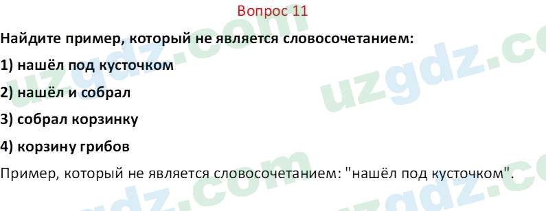 Русский язык Юнусовна Т. О. 7 класс 2022 Вопрос 111