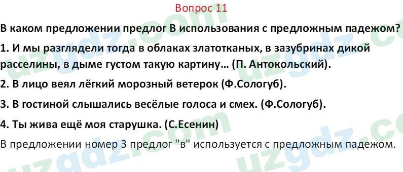 Русский язык Юнусовна Т. О. 7 класс 2022 Вопрос 111